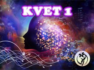 Základný kurz KVET 1 Vedomé tvorenie života (2 dni)
