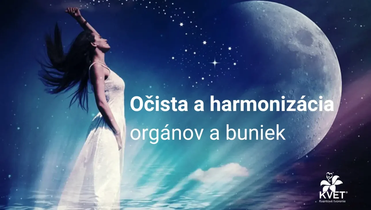 Liečivý transformačný proces: Očista a harmonizácia orgánov a buniek